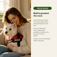 Safe by design: the no-pull harness spreads pressure across the chest, not the throat