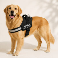 Dogshood ™ Ergonomic Harness