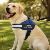 Dogshood ™ Ergonomic Harness
